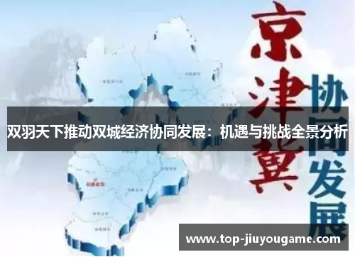 双羽天下推动双城经济协同发展：机遇与挑战全景分析