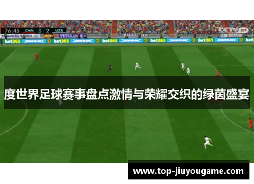 度世界足球赛事盘点激情与荣耀交织的绿茵盛宴