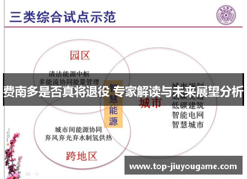 费南多是否真将退役 专家解读与未来展望分析
